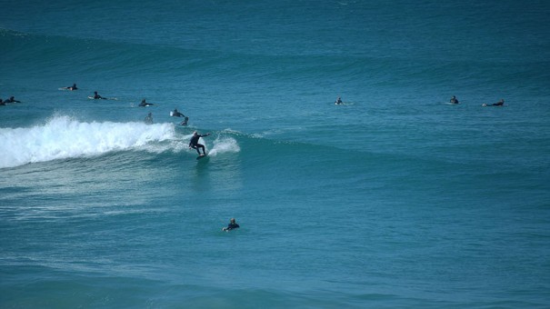 Bondi Surf