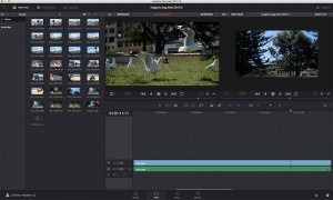 how to use davinci resolve 12 entry level